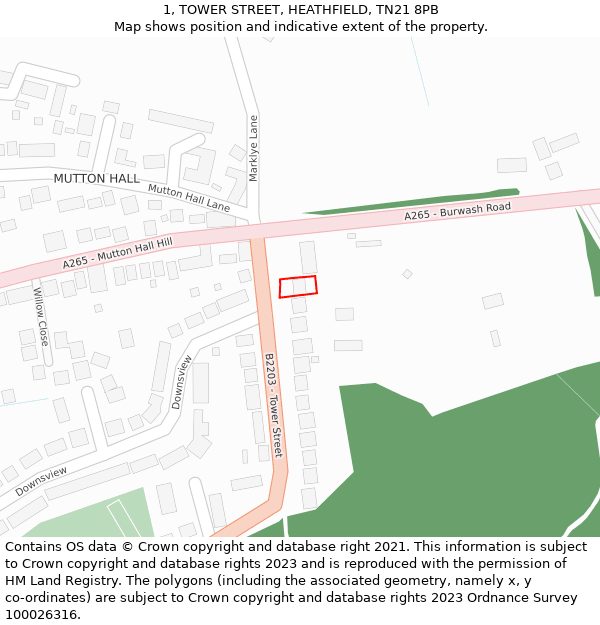 1, TOWER STREET, HEATHFIELD, TN21 8PB: Location map and indicative extent of plot