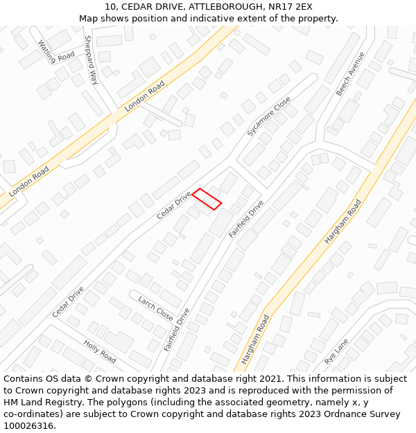 10, CEDAR DRIVE, ATTLEBOROUGH, NR17 2EX: Location map and indicative extent of plot