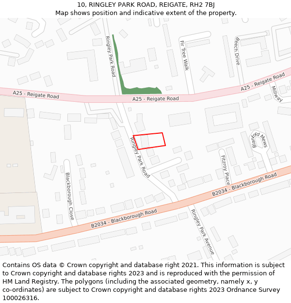 10, RINGLEY PARK ROAD, REIGATE, RH2 7BJ: Location map and indicative extent of plot