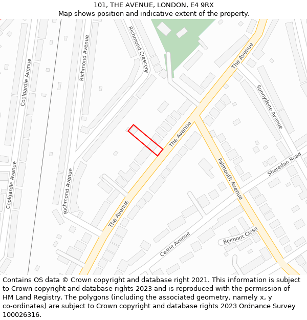 101, THE AVENUE, LONDON, E4 9RX: Location map and indicative extent of plot