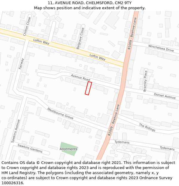 11, AVENUE ROAD, CHELMSFORD, CM2 9TY: Location map and indicative extent of plot