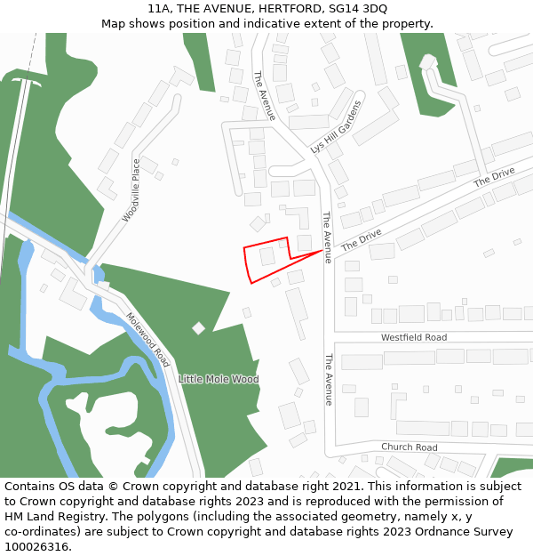 11A, THE AVENUE, HERTFORD, SG14 3DQ: Location map and indicative extent of plot