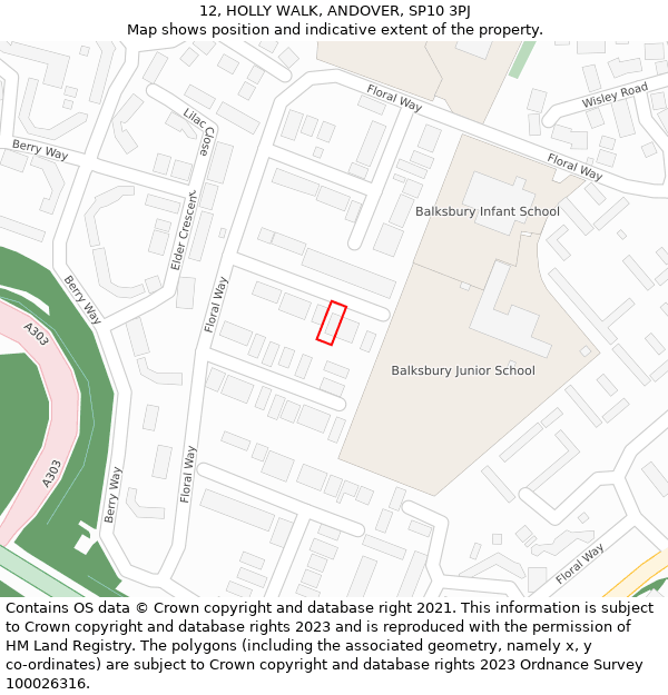 12, HOLLY WALK, ANDOVER, SP10 3PJ: Location map and indicative extent of plot