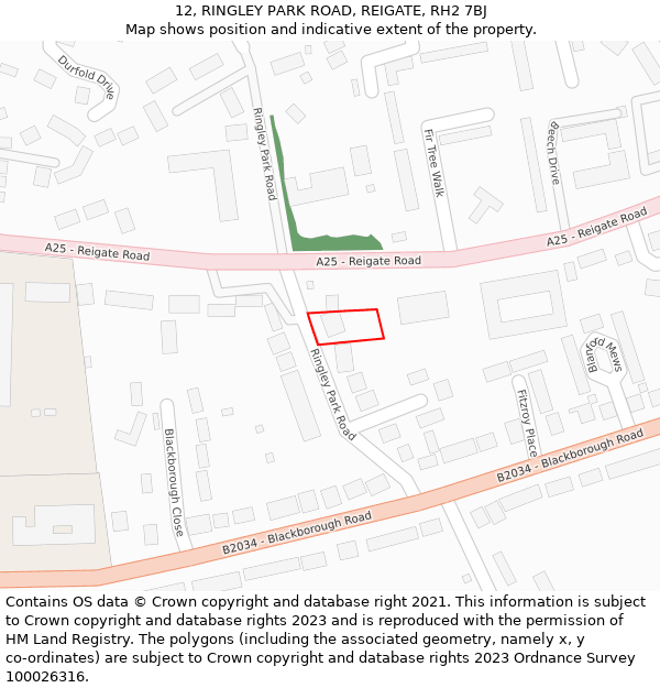 12, RINGLEY PARK ROAD, REIGATE, RH2 7BJ: Location map and indicative extent of plot