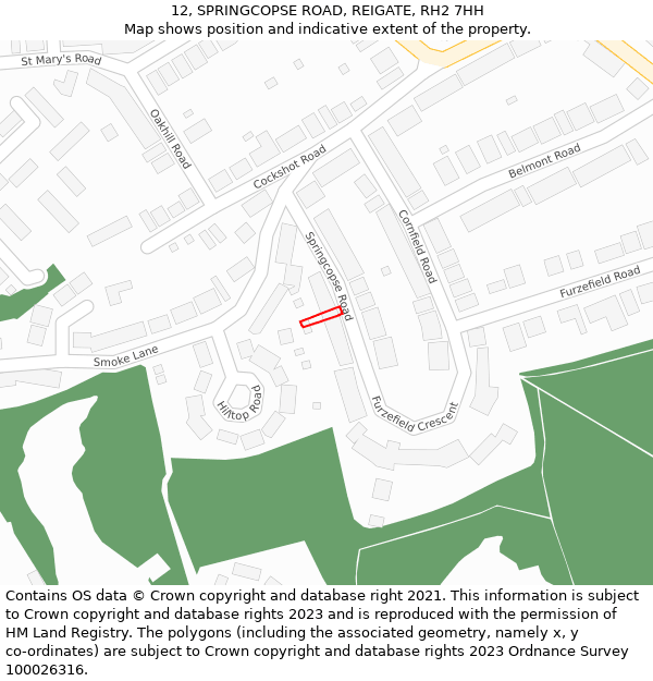 12, SPRINGCOPSE ROAD, REIGATE, RH2 7HH: Location map and indicative extent of plot