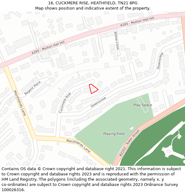 16, CUCKMERE RISE, HEATHFIELD, TN21 8PG: Location map and indicative extent of plot