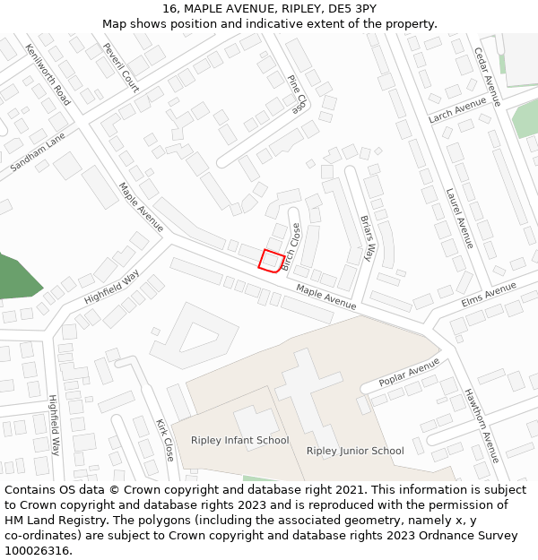 16, MAPLE AVENUE, RIPLEY, DE5 3PY: Location map and indicative extent of plot