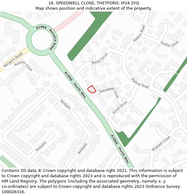 16, SPEEDWELL CLOSE, THETFORD, IP24 2YQ: Location map and indicative extent of plot