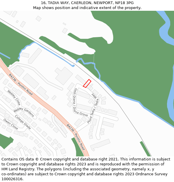 16, TADIA WAY, CAERLEON, NEWPORT, NP18 3PG: Location map and indicative extent of plot