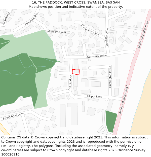 16, THE PADDOCK, WEST CROSS, SWANSEA, SA3 5AH: Location map and indicative extent of plot