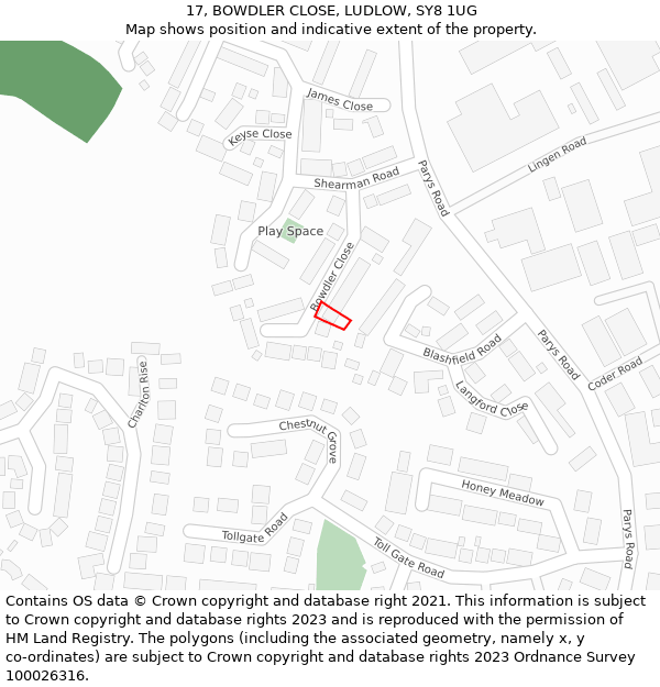 17, BOWDLER CLOSE, LUDLOW, SY8 1UG: Location map and indicative extent of plot