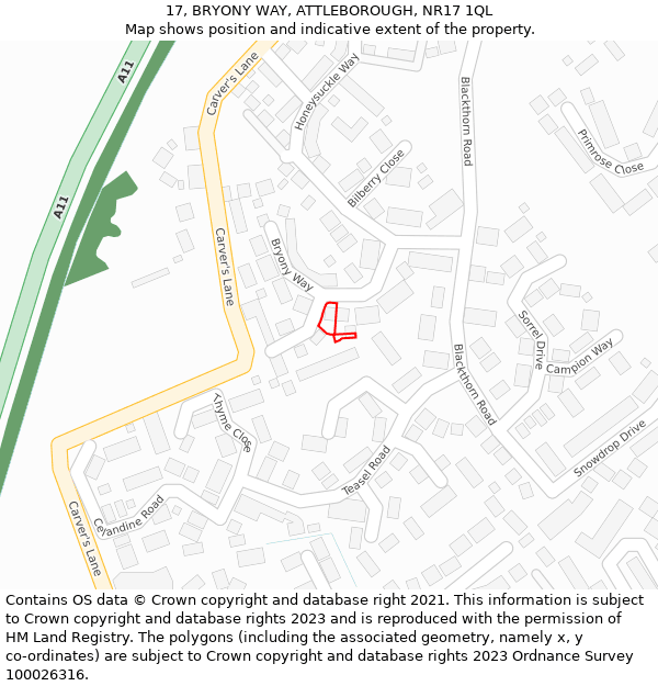 17, BRYONY WAY, ATTLEBOROUGH, NR17 1QL: Location map and indicative extent of plot