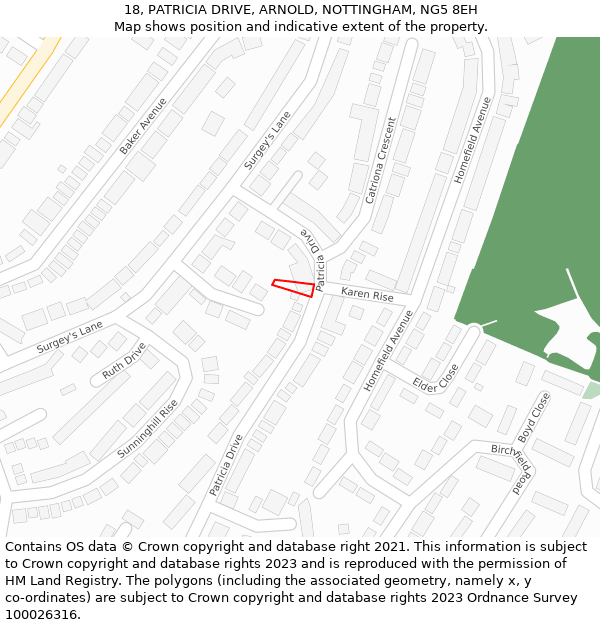 18, PATRICIA DRIVE, ARNOLD, NOTTINGHAM, NG5 8EH: Location map and indicative extent of plot