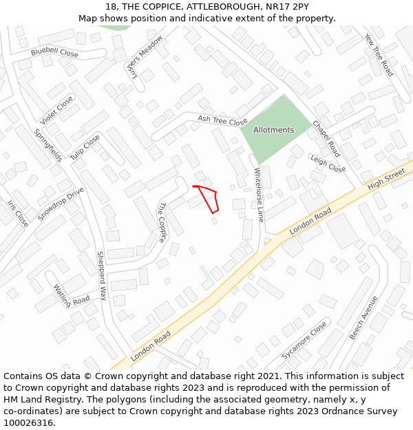 18, THE COPPICE, ATTLEBOROUGH, NR17 2PY: Location map and indicative extent of plot