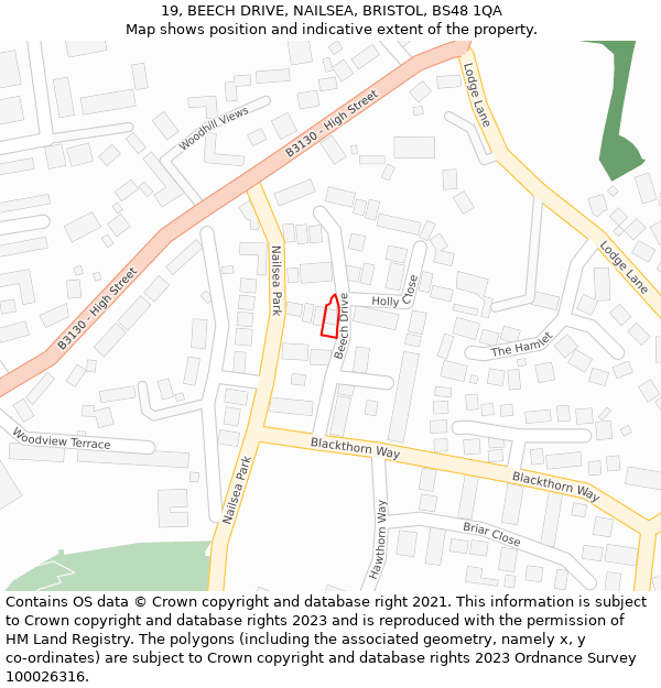 19, BEECH DRIVE, NAILSEA, BRISTOL, BS48 1QA: Location map and indicative extent of plot