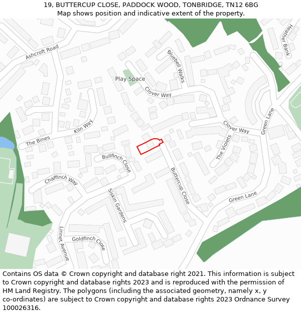 19, BUTTERCUP CLOSE, PADDOCK WOOD, TONBRIDGE, TN12 6BG: Location map and indicative extent of plot