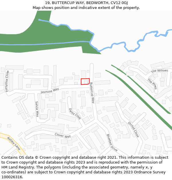 19, BUTTERCUP WAY, BEDWORTH, CV12 0GJ: Location map and indicative extent of plot