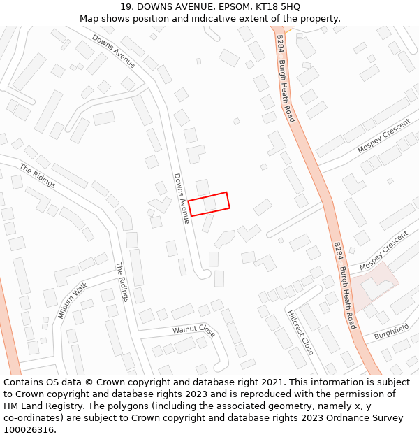 19, DOWNS AVENUE, EPSOM, KT18 5HQ: Location map and indicative extent of plot