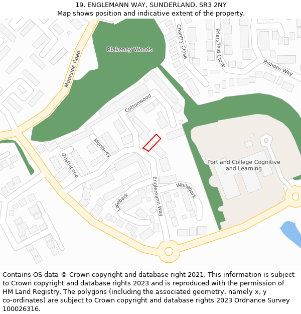 19, ENGLEMANN WAY, SUNDERLAND, SR3 2NY: Location map and indicative extent of plot