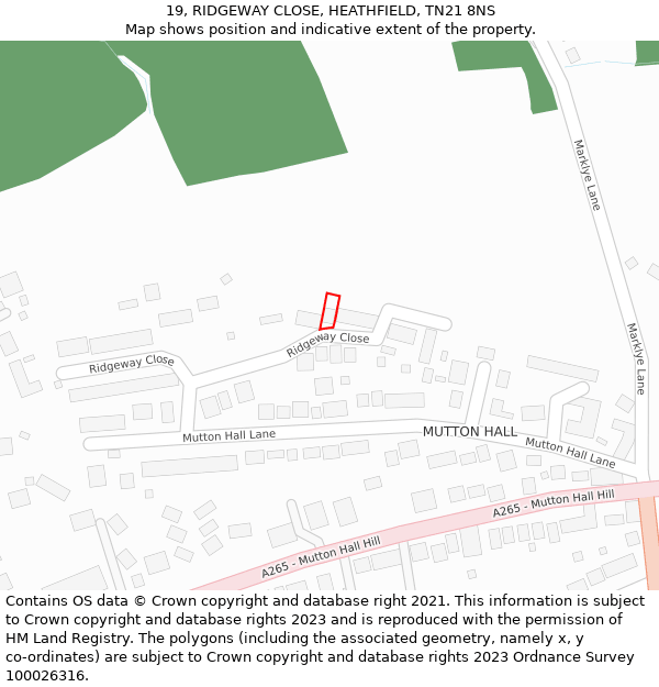 19, RIDGEWAY CLOSE, HEATHFIELD, TN21 8NS: Location map and indicative extent of plot