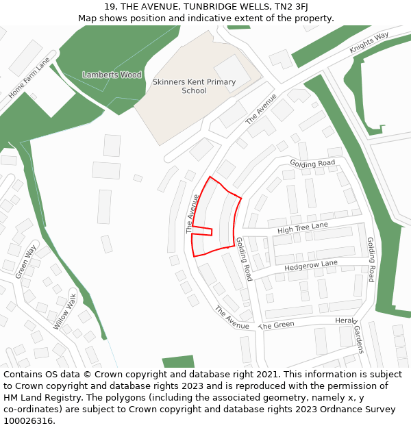19, THE AVENUE, TUNBRIDGE WELLS, TN2 3FJ: Location map and indicative extent of plot