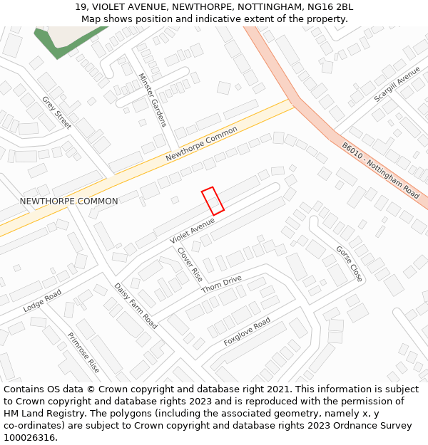 19, VIOLET AVENUE, NEWTHORPE, NOTTINGHAM, NG16 2BL: Location map and indicative extent of plot