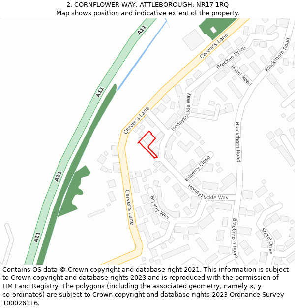 2, CORNFLOWER WAY, ATTLEBOROUGH, NR17 1RQ: Location map and indicative extent of plot