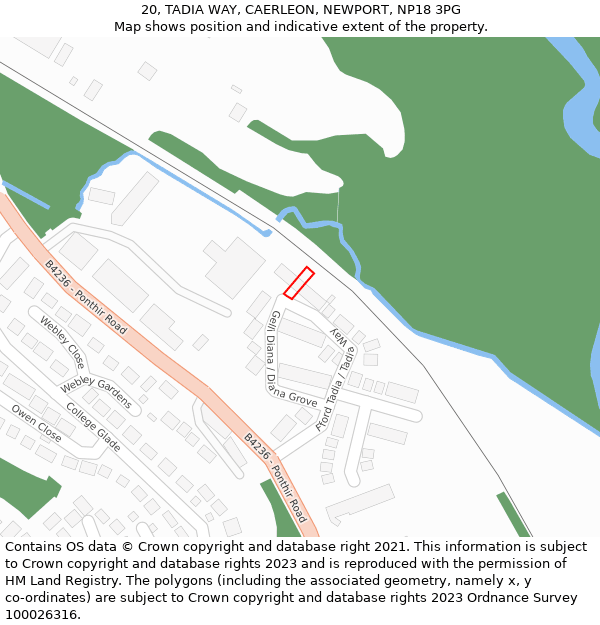 20, TADIA WAY, CAERLEON, NEWPORT, NP18 3PG: Location map and indicative extent of plot