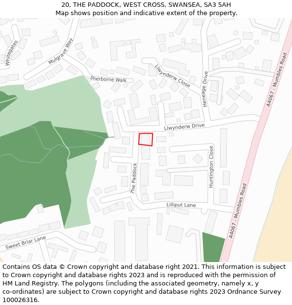 20, THE PADDOCK, WEST CROSS, SWANSEA, SA3 5AH: Location map and indicative extent of plot