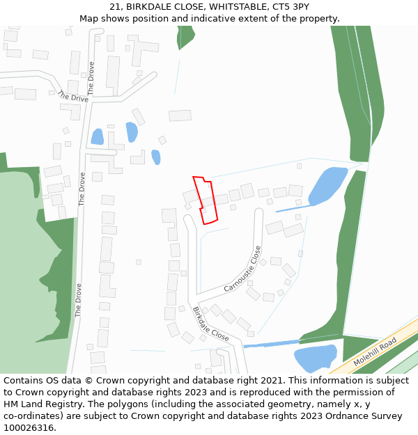 21, BIRKDALE CLOSE, WHITSTABLE, CT5 3PY: Location map and indicative extent of plot