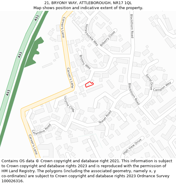 21, BRYONY WAY, ATTLEBOROUGH, NR17 1QL: Location map and indicative extent of plot