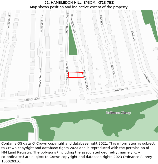 21, HAMBLEDON HILL, EPSOM, KT18 7BZ: Location map and indicative extent of plot