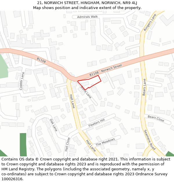 21, NORWICH STREET, HINGHAM, NORWICH, NR9 4LJ: Location map and indicative extent of plot