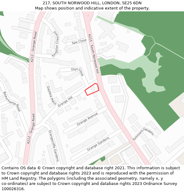 217, SOUTH NORWOOD HILL, LONDON, SE25 6DN: Location map and indicative extent of plot