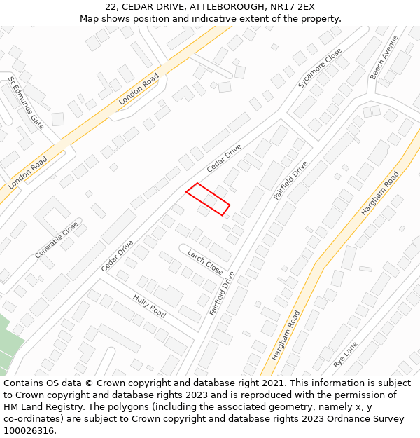 22, CEDAR DRIVE, ATTLEBOROUGH, NR17 2EX: Location map and indicative extent of plot