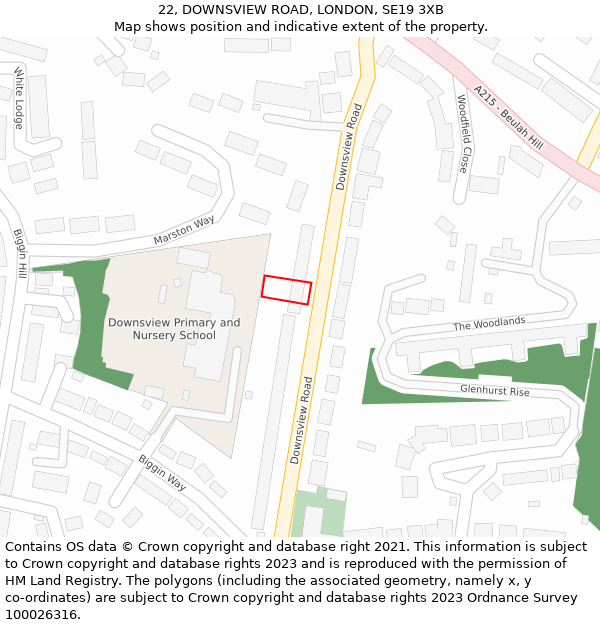 22, DOWNSVIEW ROAD, LONDON, SE19 3XB: Location map and indicative extent of plot
