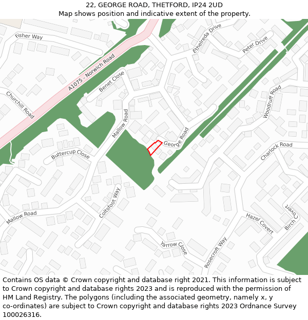 22, GEORGE ROAD, THETFORD, IP24 2UD: Location map and indicative extent of plot