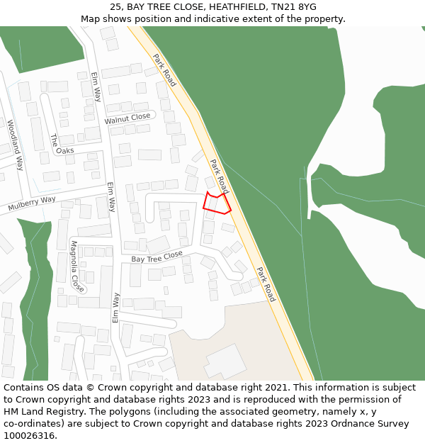 25, BAY TREE CLOSE, HEATHFIELD, TN21 8YG: Location map and indicative extent of plot