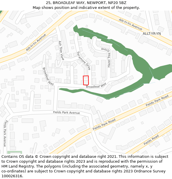 25, BROADLEAF WAY, NEWPORT, NP20 5BZ: Location map and indicative extent of plot