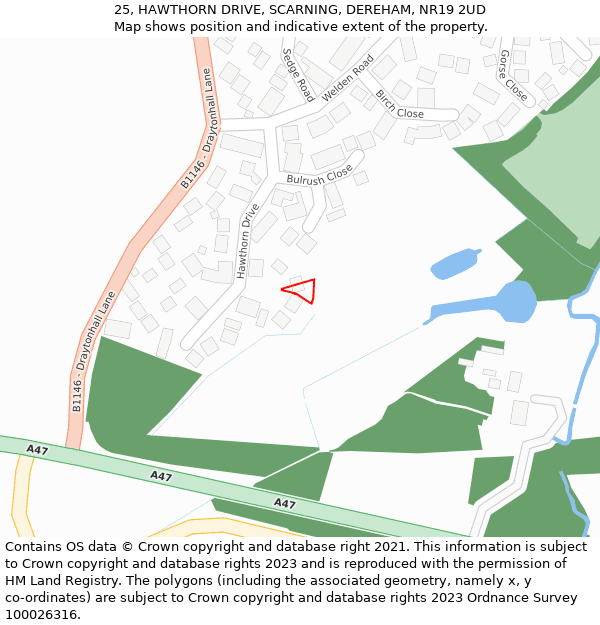 25, HAWTHORN DRIVE, SCARNING, DEREHAM, NR19 2UD: Location map and indicative extent of plot