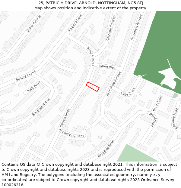 25, PATRICIA DRIVE, ARNOLD, NOTTINGHAM, NG5 8EJ: Location map and indicative extent of plot