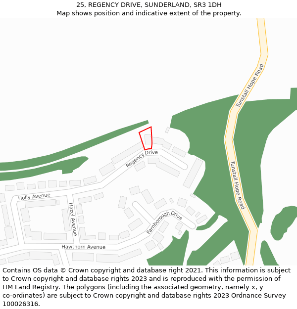 25, REGENCY DRIVE, SUNDERLAND, SR3 1DH: Location map and indicative extent of plot