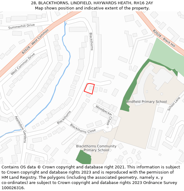 28, BLACKTHORNS, LINDFIELD, HAYWARDS HEATH, RH16 2AY: Location map and indicative extent of plot