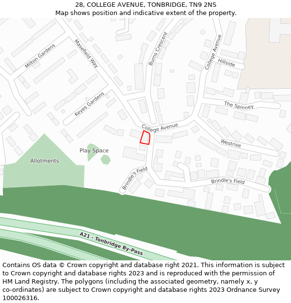 28, COLLEGE AVENUE, TONBRIDGE, TN9 2NS: Location map and indicative extent of plot