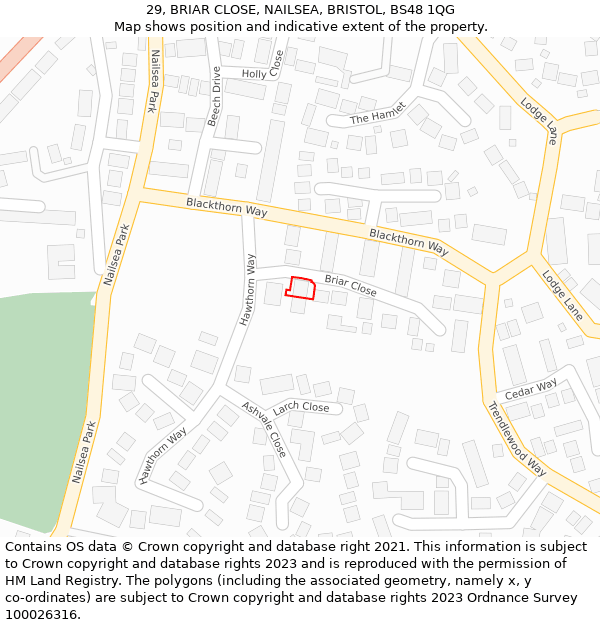 29, BRIAR CLOSE, NAILSEA, BRISTOL, BS48 1QG: Location map and indicative extent of plot