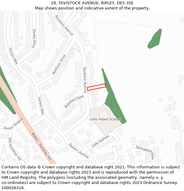 29, TAVISTOCK AVENUE, RIPLEY, DE5 3SE: Location map and indicative extent of plot