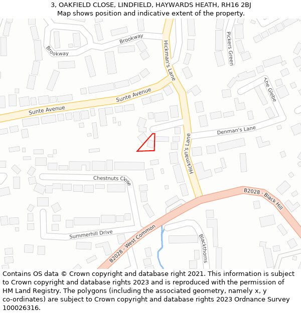 3, OAKFIELD CLOSE, LINDFIELD, HAYWARDS HEATH, RH16 2BJ: Location map and indicative extent of plot