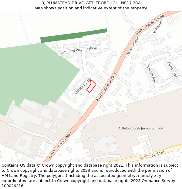 3, PLUMSTEAD DRIVE, ATTLEBOROUGH, NR17 2RA: Location map and indicative extent of plot