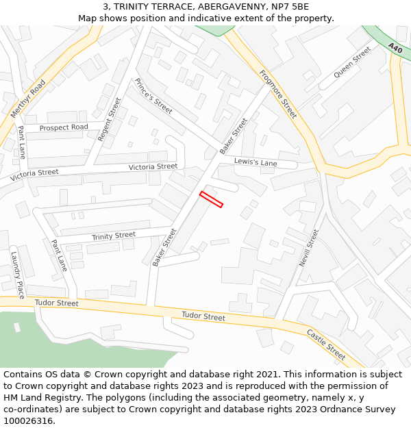 3, TRINITY TERRACE, ABERGAVENNY, NP7 5BE: Location map and indicative extent of plot