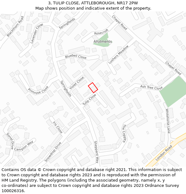 3, TULIP CLOSE, ATTLEBOROUGH, NR17 2PW: Location map and indicative extent of plot